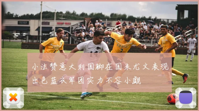 小法赞意大利国脚在国米尤文表现出色蓝衣军团实力不容小觑