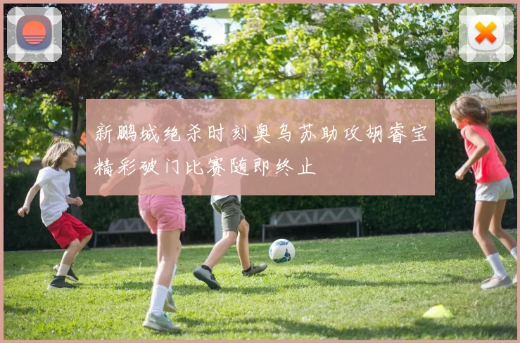 新鹏城绝杀时刻奥乌苏助攻胡睿宝精彩破门比赛随即终止